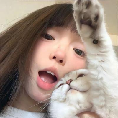 我的猪队友