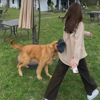 黑镜第六季